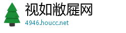 视如敝屣网